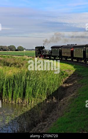 Kleine Dampftramlokomotive, die durch die niederländische Landschaft fährt und aus dem Fenster blickt, nostalgische Sommertouristik in den Niederlanden Stockfoto