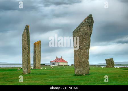 Die Stones of Stenness sind die Überreste eines großen Steinkreises an einer alten Zeremonienstätte in Orkney, Schottland. Stockfoto