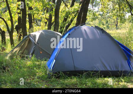 Moderne touristische Zelte im Waldlager im Sommerwald Stockfoto