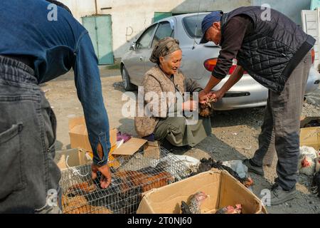 OSH, Kirgisistan - 8. Oktober 2023: Eine Frau, die Hühner auf dem Jayma-Basar in Osh, Kirgisistan verkauft. Stockfoto