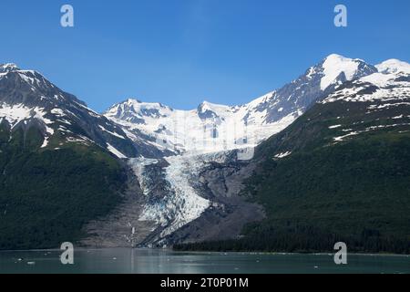 Vassar Glacier in College Fjord, Alaska, USA Stockfoto