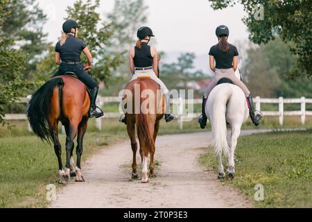 Drei Reitfrauen reiten an sonnigen Tagen Seite an Seite im Reitzentrum auf wunderschönen Pferden Stockfoto