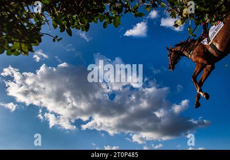 Pardubice, Tschechische Republik. Oktober 2023. Der tschechische Jockey Ondrej Velek mit dem Logian Whistle Horse tritt am 8. Oktober 2023 bei der Grand Pardubice Steeplechase in Pardubice an. Quelle: Roman Vondrous/CTK Photo/Alamy Live News Stockfoto