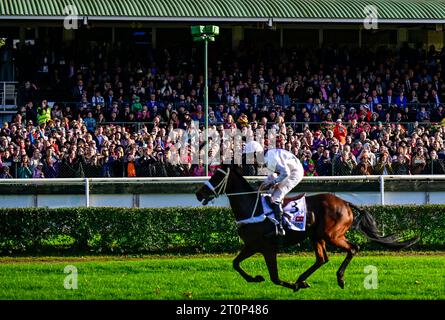 Pardubice, Tschechische Republik. Oktober 2023. Der tschechische Jockey Jan Faltejsek mit dem Pferd Sacamiro tritt am 8. Oktober 2023 bei der Grand Pardubice Steeplechase in Pardubice an. Quelle: Roman Vondrous/CTK Photo/Alamy Live News Stockfoto