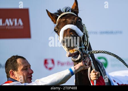 Pardubice, Tschechische Republik. Oktober 2023. Der tschechische Jockey Jan Faltejsek mit Sacamiro-Pferd feiert nach dem Sieg der Grand Pardubice Steeplechase in Pardubice, Tschechien, am 8. Oktober 2023. Quelle: Roman Vondrous/CTK Photo/Alamy Live News Stockfoto