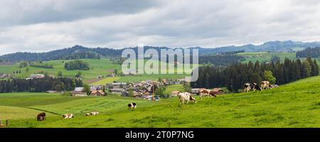 Panoramablick auf das Emmental mit Kühen und einem kleinen Dorf im Kanton Bern in der Schweiz Stockfoto