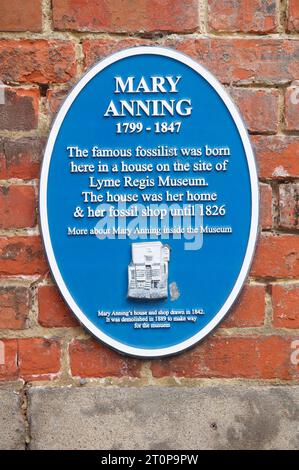 Die blaue Tafel zeigt, wo Mary Anning, die Pionierin der Fossilienjägerin und Paläontologin, geboren und gelebt wurde. Heute befindet sich das Lyme-Regis-Museum. Dorset, Großbritannien. Stockfoto