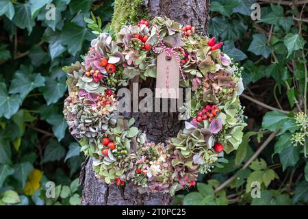 Kranz aus Hortensie-Blumen, Hagebutten, Krabbenäpfeln, Traubenbeeren und Efeublüten, die am Baum hängen Stockfoto