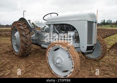 Massey Ferguson Traktor auf einem Acker Stockfoto