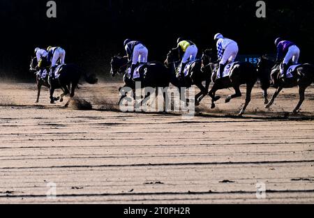 Pardubice, Tschechische Republik. Oktober 2023. Die Grand Pardubice Steeplechase in Pardubice, Tschechische Republik, 8. Oktober 2023. Quelle: Roman Vondrous/CTK Photo/Alamy Live News Stockfoto