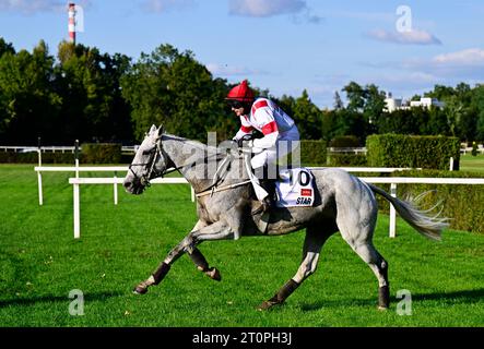 Pardubice, Tschechische Republik. Oktober 2023. Jockey Marek Stromsky mit Star Horse tritt an der Grand Pardubice Steeplechase in Pardubice, Tschechien, am 8. Oktober 2023 an. Quelle: Roman Vondrous/CTK Photo/Alamy Live News Stockfoto