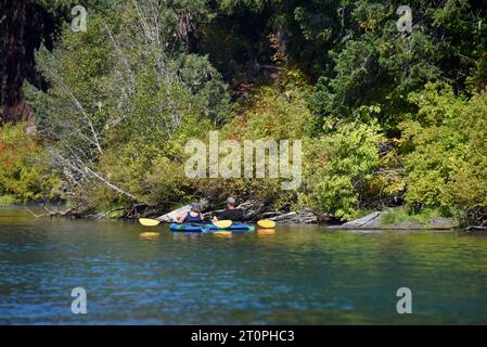 Paare schwimmen in ihren Kajaks in der Nähe der Küste. Sie genießen einen sonnigen Tag auf dem Clear Lake in Oregon. Stockfoto