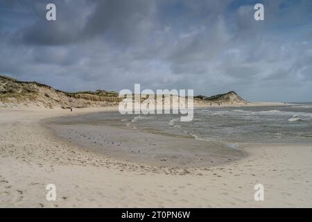 Südcap, Sandstrand, Nordsee, Hörnum, Sylt, Schleswig-Holstein, Deutschland *** Südkap, Sandstrand, Nordsee, Hörnum, Sylt, Schleswig Holstein, Deutschland Credit: Imago/Alamy Live News Stockfoto