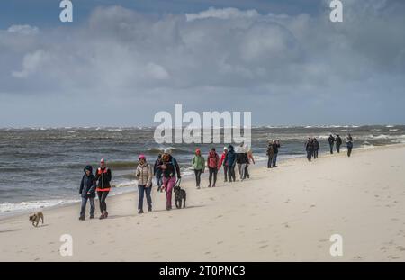 Strandwanderung, Südcap, Sandstrand, Nordsee, Hörnum, Sylt, Schleswig-Holstein, Deutschland *** Strandspaziergang, südkap, Sandstrand, Nordsee, Hörnum, Sylt, Schleswig Holstein, Deutschland Credit: Imago/Alamy Live News Stockfoto