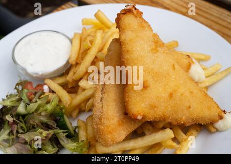 Smazeny Syr Fried Edam Cheese mit Pommes frites und Tatarensauce Stockfoto