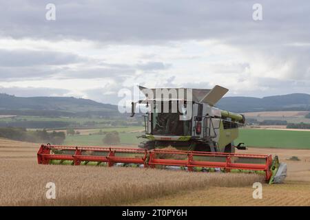 Ein Claas Lexion 8600 Mähdrescher erntet Gerste auf einem Hügel mit Blick auf die umliegende Landschaft Stockfoto