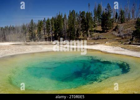 Morning Glory Pool, Yellowstone-Nationalpark, Wyoming Stockfoto