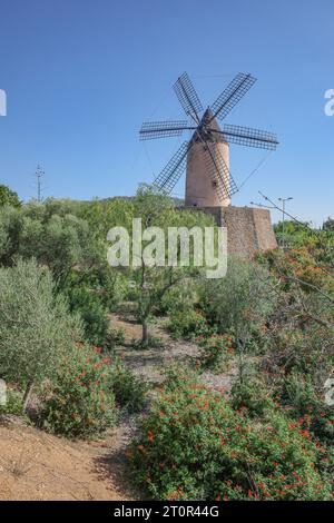 Mallorca, Spanien - 8. Oktober 2023: Traditionelle balearische Windmühle in Santa Ponsa, Mallorca Stockfoto