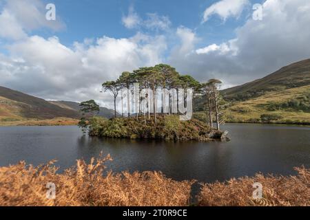 Insel Eileen na Moine am Loch Eilt, Schottland - eine winzige kleine Insel, die durch die Harry-Potter-Filme berühmt wurde. Stockfoto