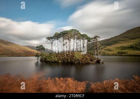 Insel Eileen na Moine am Loch Eilt, Schottland - eine winzige kleine Insel, die durch die Harry-Potter-Filme berühmt wurde. Stockfoto