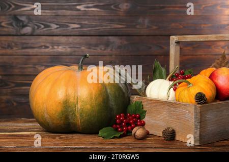 Alles Gute an Thanksgiving. Komposition mit Kürbissen, Beeren und Tannenzapfen auf Holztisch Stockfoto