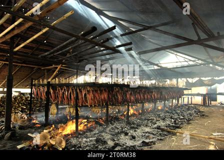 Blick auf eine Werkstatt zur Herstellung von geräuchertem Fisch, in der Bonito-Thunfischfleisch in einer Heimindustrie in Bitung, Nord-Sulawesi, Indonesien, verwendet wird. Der Beitrag indigener Wissens zur technologischen Innovation bietet laut dem Bericht des Zwischenstaatlichen Ausschusses für Klimaänderungen (IPCC) aus dem Jahr 2023 eine breite Palette von Optionen für das Management unter anderem der Ernährungssicherheit. Der im Volksmund als Cakalang Fufu bekannte geräucherte Thunfisch gilt als exotisches einheimisches Lebensmittel und könnte eine alternative Lösung für den Umgang mit den Auswirkungen des Klimawandels auf den Ozean werden. die Weltbank warnt, dass neben den Auswirkungen von... Stockfoto