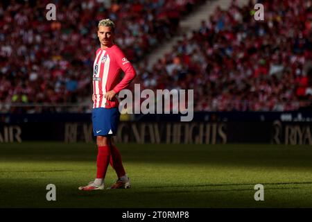 Madrid, Spanien. Oktober 2023. Madrid Spanien; 08.10.2023.- Anoine Griezmann Atletico de Madrid gegen Real Sociedad, das spanische Fußballspiel Tag 9 im Stadion Cívitas Metropolitano ausgetragen wurde, gipfelte 2-1 gegen Atletico mit Toren von Samuel Lino 22' und Antoine Griezmann 89' aus einem Elfmeterschießen. Und für Real Sociedad erzielte Mikel Oyarzabal 73' Guthaben: Juan Carlos Rojas/ Picture Alliance/dpa/Alamy Live News Stockfoto