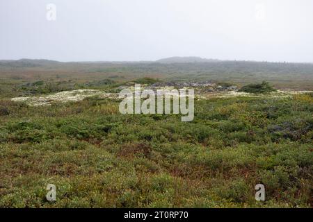 L’Anse aux Meadows archäologische Stätte in Neufundland & Labrador, Kanada Stockfoto