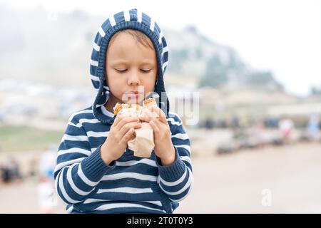 Ein netter kleiner Junge hält einen leckeren Hotdog, der im Bergpark spaziert. Kind isst gesunden Snack auf Reiseporträt. Ruhiger Junge mit Sandwich draußen Stockfoto