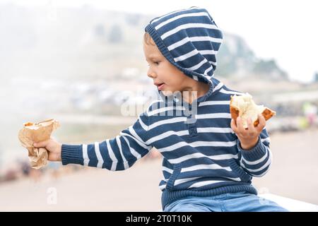 Der kleine Junge teilt sich einen großen Hotdog und gibt die Hälfte im Bergpark. Ein Kind isst Fastfood-Snack an nebelhaltigen Tagen. Kleiner Junge mit Sandwich draußen Stockfoto