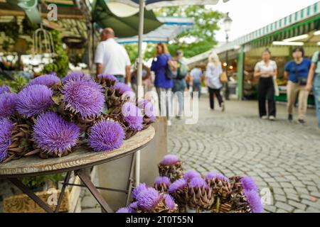 München, Deutschland, EU - 13. September 2023. Lila Blumen am Viktualienmarkt, dem berühmtesten Markt Münchens. Es gibt Essen, Blumen und einen Biergarten. Stockfoto