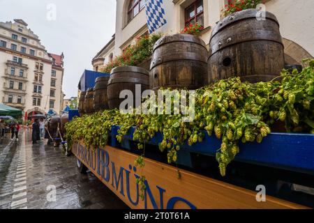 München, Deutschland, EU - 13. September 2023. Oktoberfest Hofbräuhaus Bierfestparade mit einem Pferdewagen voller Bierfässer im Hofbräuhaus Stockfoto