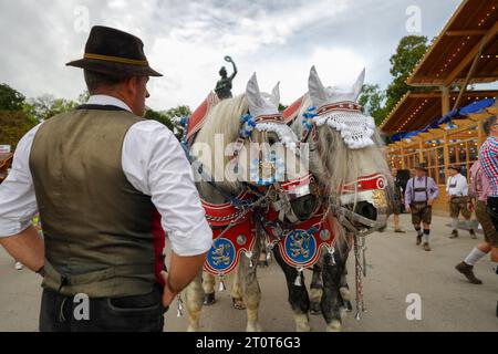 München, Deutschland, EU - 18. September 2023. Schützen-Festzelt mit Pferdekutsche, Lowenbrauer Bierfass-Paradewagen und Brauereipferden. Stockfoto