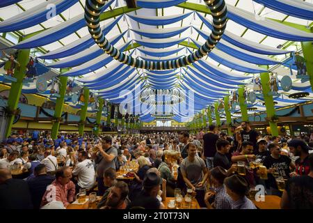 München, Deutschland, EU - 16. September 2023. Menschen, die in einem Bierzelt des Spaten Oktoberfestes in München trinken und essen, tragen Dirndls und Lederhosen. Stockfoto