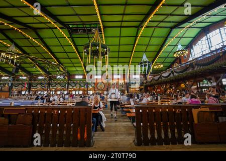 München, Deutschland, EU - 16. September 2023. Menschen, die trinken, essen im Augustiner Oktoberfest Bierzelt in München, tragen Dirndls und Lederhosen. Stockfoto