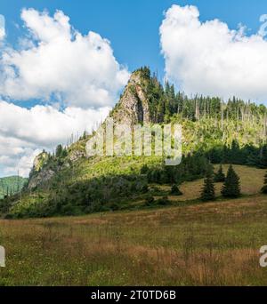 Blick von Przyslop Mietusi über das Tal Dolina Koscieliska in der westlichen Tatra in Polen an schönen Sommertagen Stockfoto