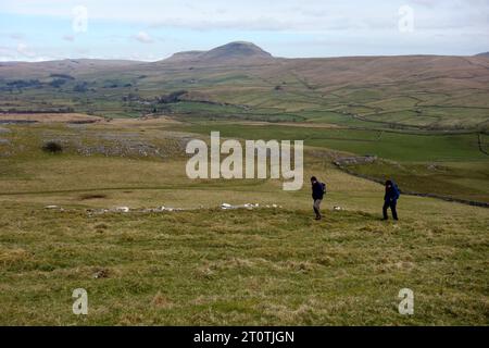 Two Men (Wanderer) Walking on Path to „Smearsett Scar“ mit Pen-y-ghent im Hintergrund in Ribblesdale, Yorkshire Dales National Park, England, Großbritannien. Stockfoto