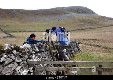 Zwei Männer (Wanderer) klettern auf einer Holzleiter über die trockene Steinmauer in der Nähe von „Smearsett Scar“ in Ribblesdale, Yorkshire Dales National Park, England, Großbritannien. Stockfoto