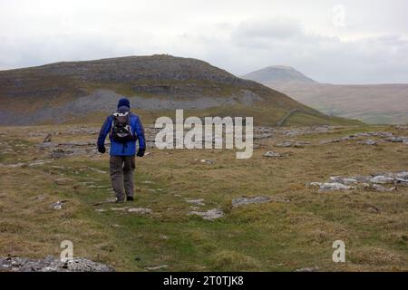 Lone man (Wanderer) Walking on Path to „Smearsett Scar“ vom Feizor Thawite Hill in Ribblesdale, Yorkshire Dales National Park, England, Großbritannien. Stockfoto