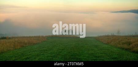 nebliger Sonnenaufgang über einer Bergwiese Stockfoto