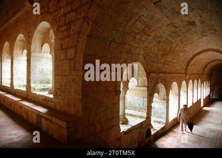 Der Kreuzgang im Abbaye du Thoronet, Var, Provence, Frankreich. Stockfoto