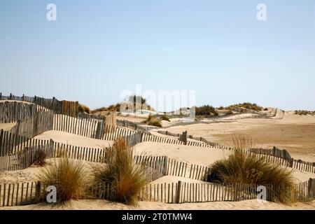 Sanddünen am Strand von Espiguette in der Camargue Westküste, Provence, Frankreich. Stockfoto