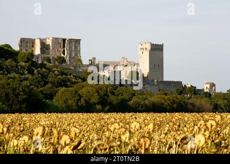 Abbaye de Montmajour, Provence, Frankreich. Stockfoto