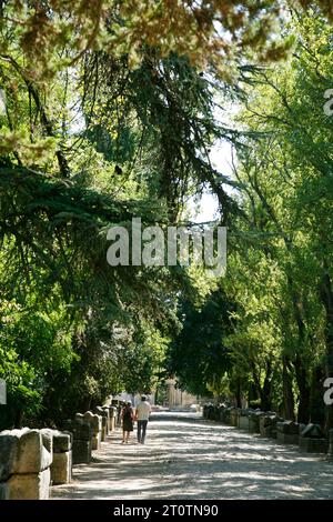 Les Alyscamps, Arles, Provence, Frankreich. Stockfoto