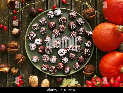Blick von oben auf handbemalte Kastanien mit verschiedenen lustigen Motiven in einer Pastete auf dem Garen-Tisch mit Kürbissen und Nüssen. DIY Herbstidee für Kinder. Stockfoto