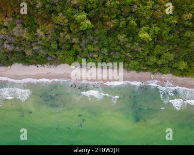 Von oben entfaltete sich der faszinierende Strand mit goldenem Sand, der von türkisfarbenen Wellen gestreichelt wurde. Üppig grüne Wälder schmücken die Küste, während robuste Felsen Stockfoto