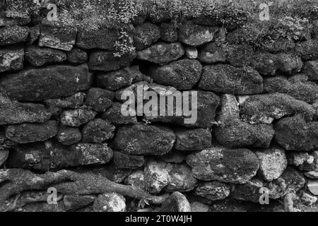 Abstrakte Hintergrundtextur der Steinmauer, bedeckt mit Moos in Schwarz-weiß Stockfoto