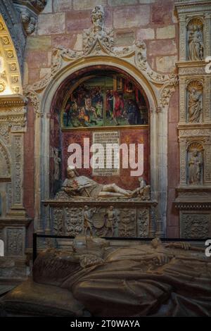 Grab des Doncel in der Kathedrale von Santa María, Stadt Sigüenza, Provinz Guadalajara, autonome Gemeinde Castilla la Mancha, Spanien. Stockfoto