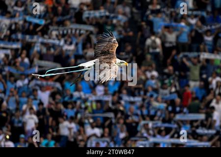 Rom, Italien. Oktober 2023. Lazios Maskottchen der Adler Olimpia fliegt vor dem Fußballspiel der Serie A zwischen SS Lazio und Atalanta BC im Olimpico-Stadion in Rom (Italien) am 8. Oktober 2023 über das Stadion. Quelle: Insidefoto di andrea staccioli/Alamy Live News Stockfoto