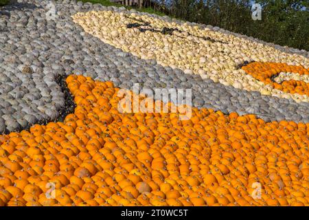 Ein Albtraum vor der Weihnachtsfeier auf der Sunnyfields Farm in Totton zur Kürbiszeit in Hampshire, Großbritannien im Oktober Stockfoto